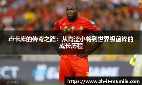 米乐m6